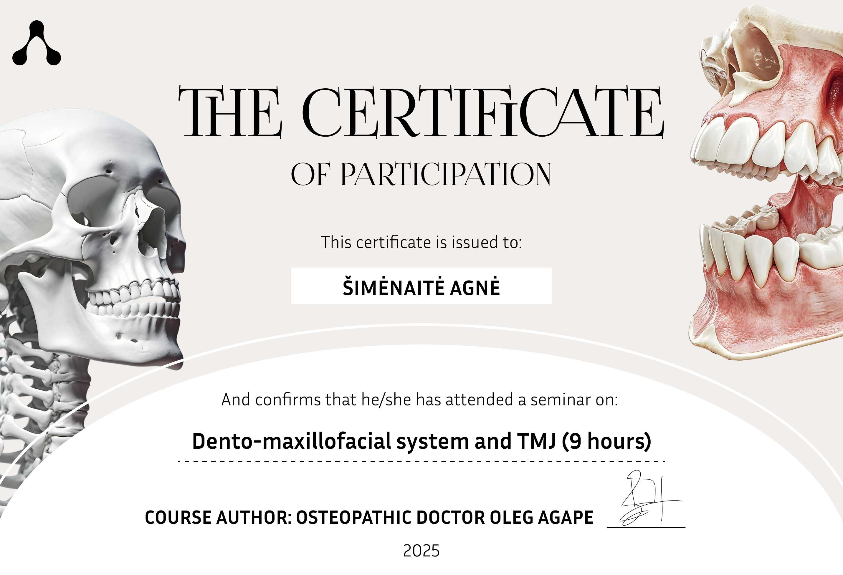 Dento-maxillofacial system and TMJ