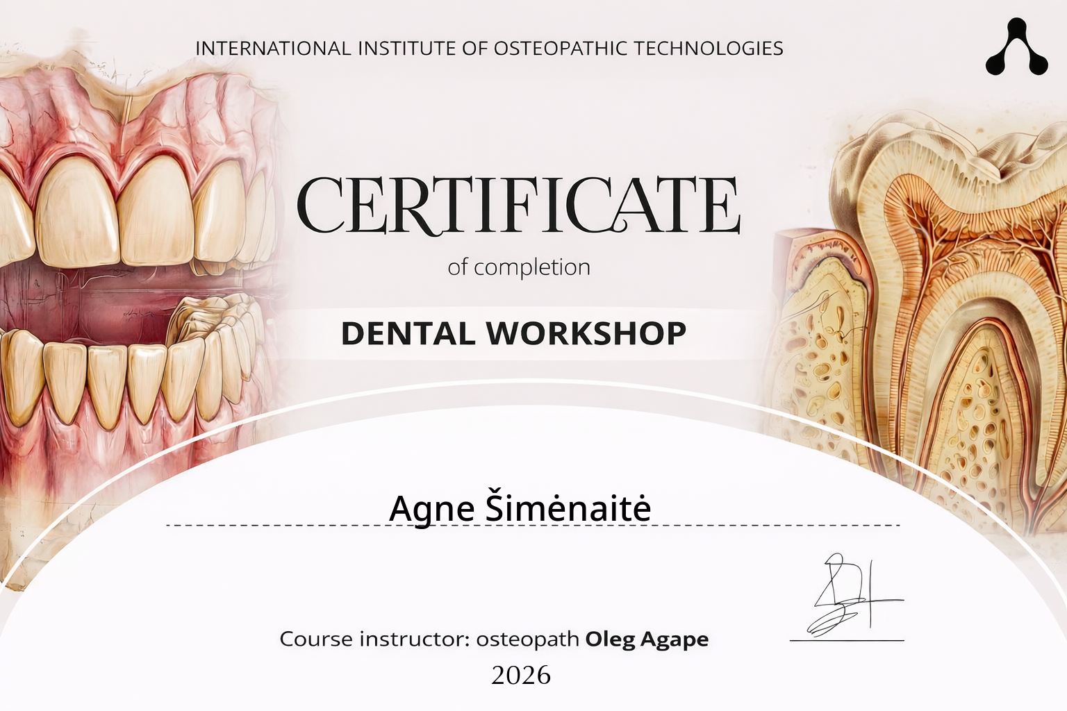 Dental Workshop