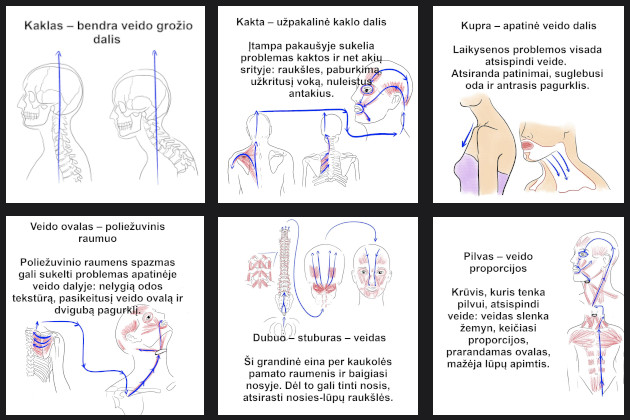 OsteoEstetika.lt – tai „online“ kursas, kurio metu Jūs patys naudodami specialias technikas savomis rankomis aktyvuosite veido, kūno ir viso organizmo jaunėjimo procesus