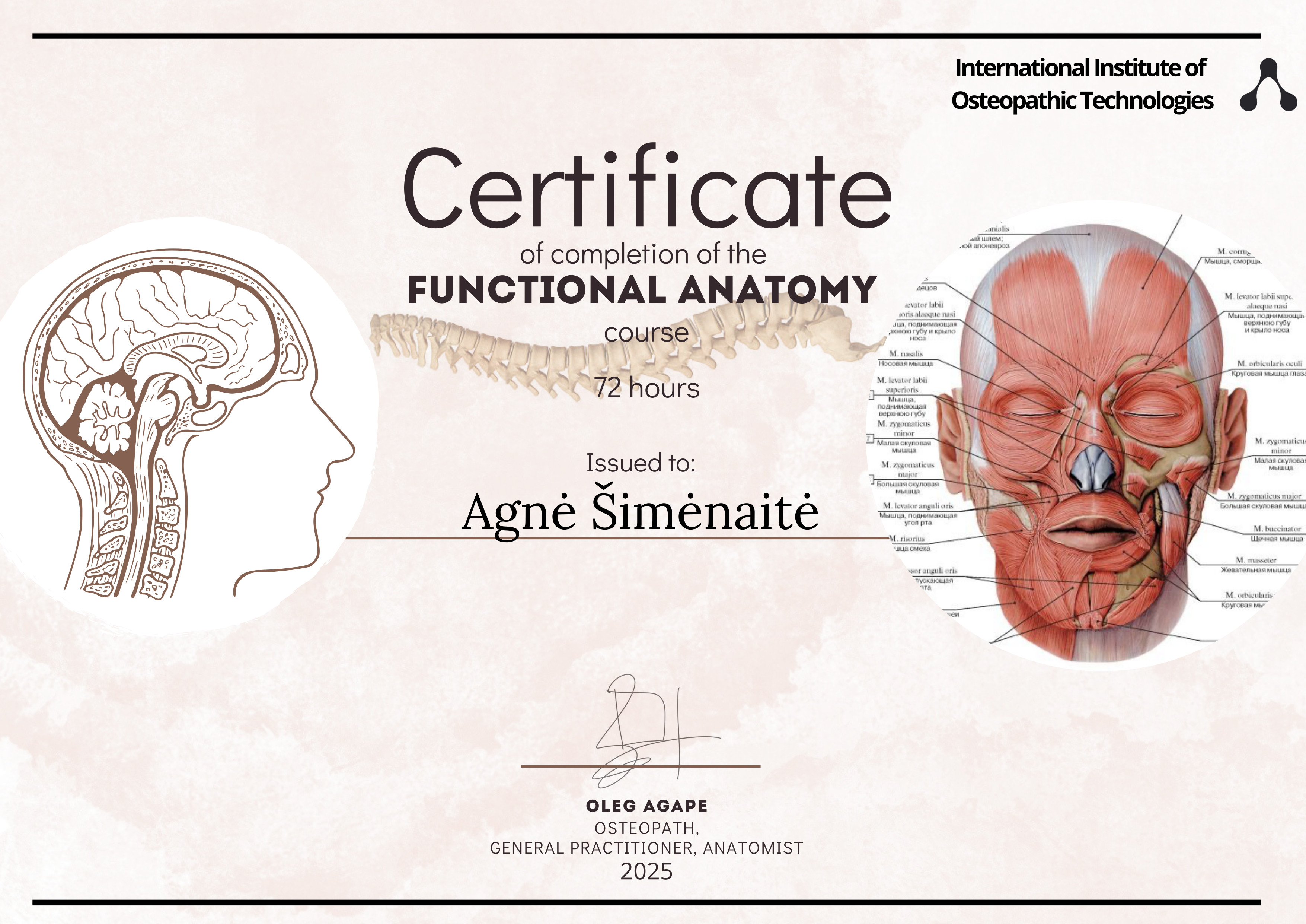 Function Anatomy course 